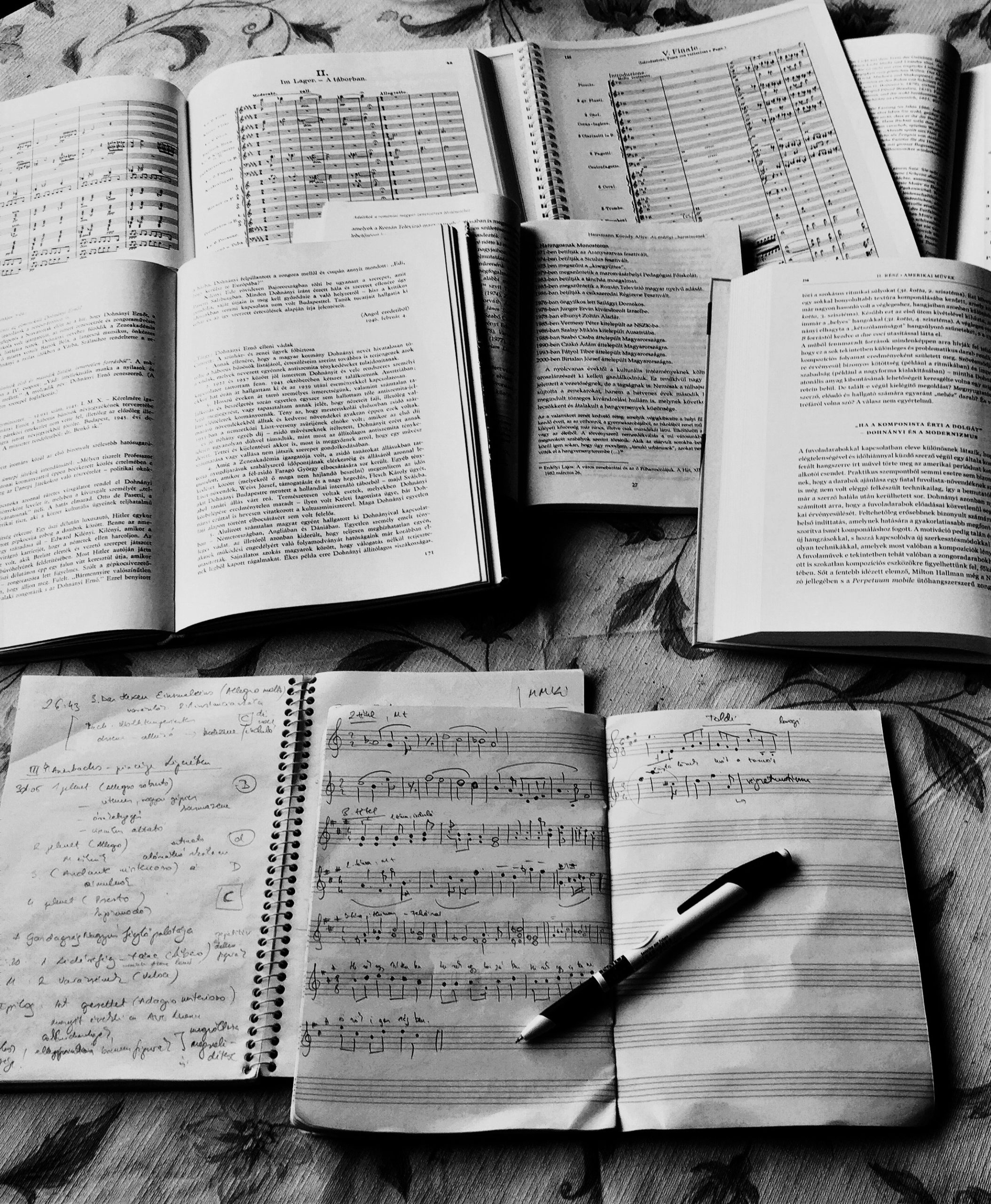 Rövid összefoglaló két Dohnányi-kompozícióról egy művészettörténész otthonából