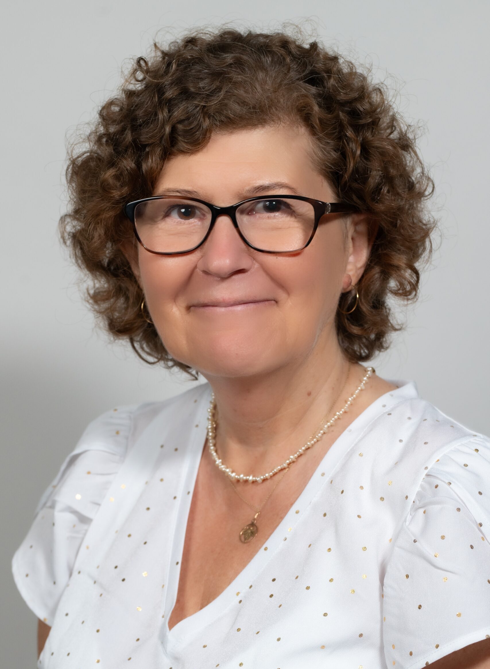 az MMA MMKI állandó kutatója