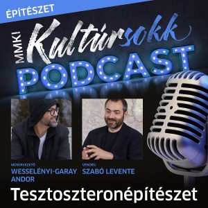 Szabó Leventével, a Hetedik Műterem vezetőjével beszélget Wesselényi-Garay Andor – MMKI Kultúrsokk podcast – Építészet