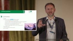 Gombos Péter: A költő disztópiája – Babits és az Elza pilóta