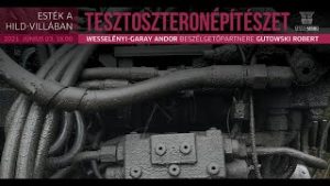 Tesztoszteronépítészet I. – Gutowski Robert