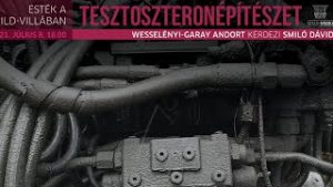 Tesztoszteronépítészet I. – Különkiadás