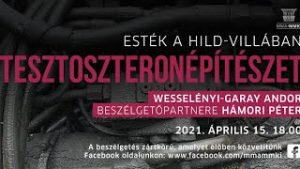 Tesztoszteronépítészet I. – Hámori Péter